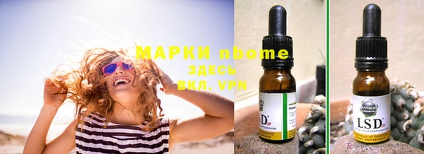 бошки Бронницы
