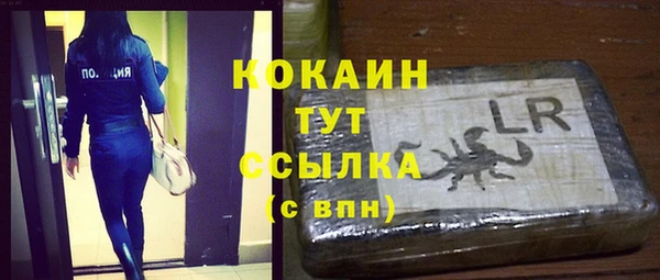 бошки Бронницы
