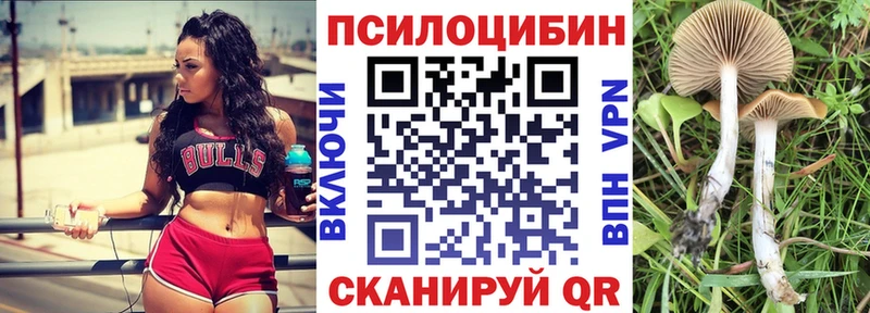 Галлюциногенные грибы Cubensis  Тольятти 