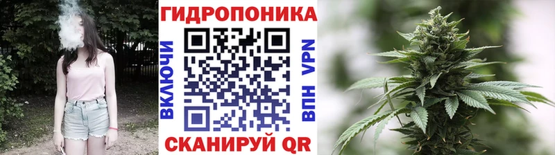 Канабис Bruce Banner  Тольятти 